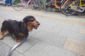 20130723